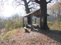 Прикрепленное изображение: DSC05521.jpg
